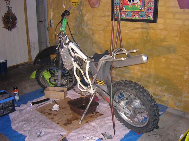 Bild