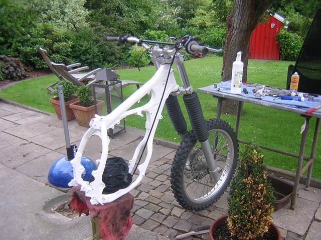 Bild